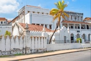 ザンジバル：ストーンタウン ガイド付きウォーキングツアー