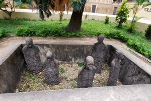 ザンジバル：ストーンタウン ガイド付きウォーキングツアー