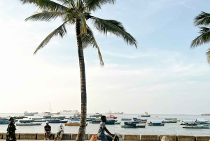Zanzibar: tour del patrimonio di Stone Town e del mercato degli schiavi