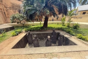 Zanzibar: Excursão aos pontos turísticos de Stone Town com visitas a museus