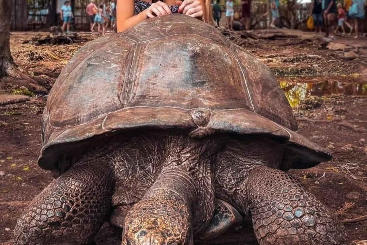 ZANZIBAR: Kamienne Miasto, Prison Island i Nakupenda