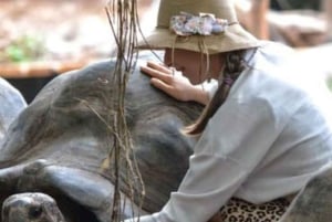 ザンジバル：ストーンタウン歴史ツアー、プリズン島、ナクペンダ島