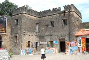 ザンジバル：ストーンタウン歴史ツアー、プリズン島、ナクペンダ島