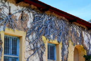 ZANZIBAR: Kamienne Miasto, Prison Island i Nakupenda