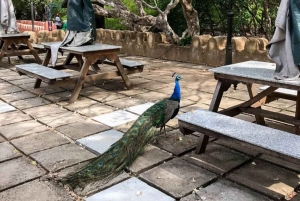 ZANZIBAR: Kamienne Miasto, Prison Island i Nakupenda