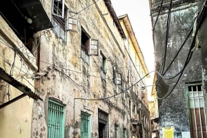 Zanzibar: spostrzeżenia na temat kamiennego miasta i eksploracja lasu Jozani