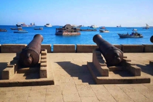 Zanzibar: spostrzeżenia na temat kamiennego miasta i eksploracja lasu Jozani