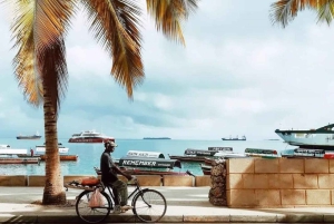 Zanzibar: spostrzeżenia na temat kamiennego miasta i eksploracja lasu Jozani