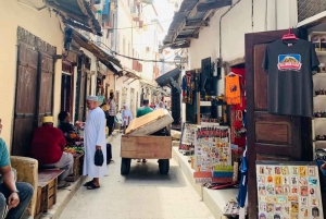 Zanzibar: spostrzeżenia na temat kamiennego miasta i eksploracja lasu Jozani
