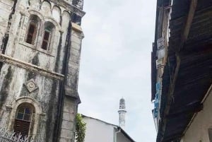 Zanzibar: spostrzeżenia na temat kamiennego miasta i eksploracja lasu Jozani