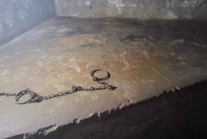 Zanzibar: spostrzeżenia na temat kamiennego miasta i eksploracja lasu Jozani