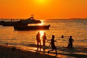 Tour por la granja de especias, bosque de Jozani, cueva de Salaam y playa de Mtende