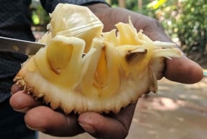 Tour por la granja de especias, bosque de Jozani, cueva de Salaam y playa de Mtende