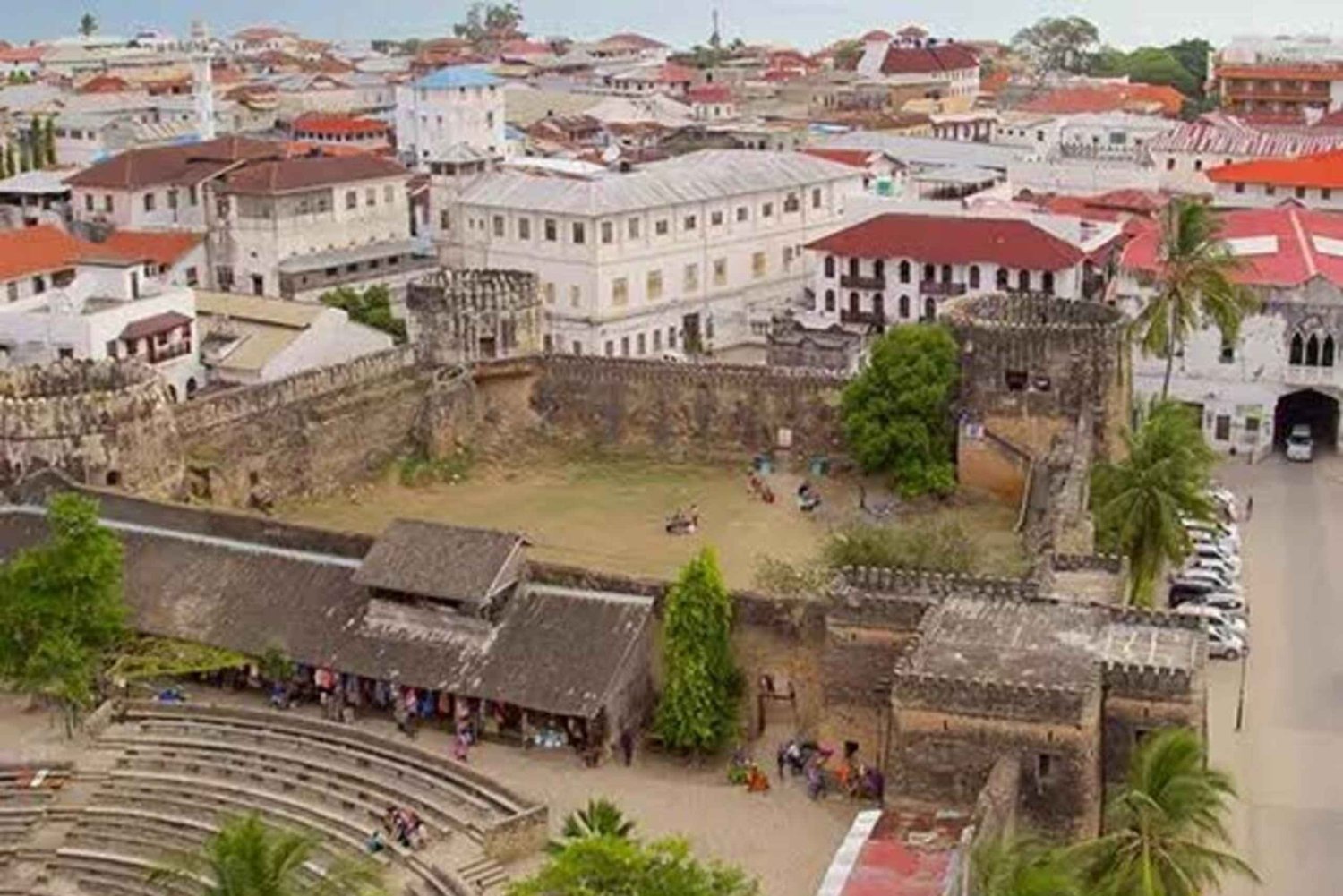 Zanzibar: Stone Town, Jozani-skogen og svømming med skilpadder