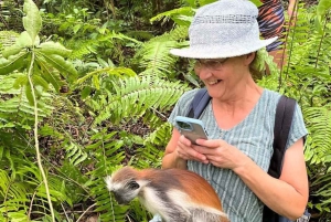 Zanzibar: Rundtur i Stone Town, Jozani Forest og Butterfly Centre