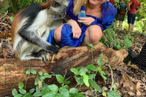 Zanzibar: Rundtur i Stone Town, Jozani Forest og Butterfly Centre