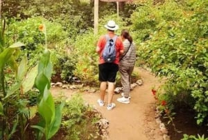 Zanzibar: Rundtur i Stone Town, Jozani Forest og Butterfly Centre