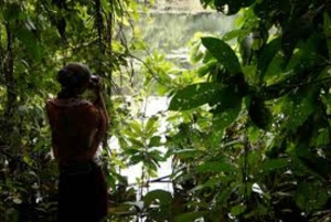 Zanzibar: Rundtur i Stone Town, Jozani Forest og Butterfly Centre