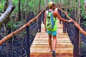 Zanzibar: Rundtur i Stone Town, Jozani Forest og Butterfly Centre