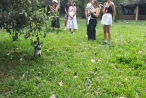 Zanzibar: Rundtur i Stone Town, Jozani Forest og Butterfly Centre