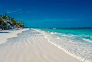 Zanzibar: Stone Town, Jozani Forest, Kuza Cave & The Rock