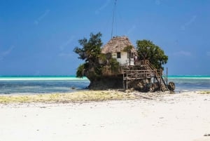 Zanzibar: Stone Town, las Jozani, jaskinia Kuza i skała