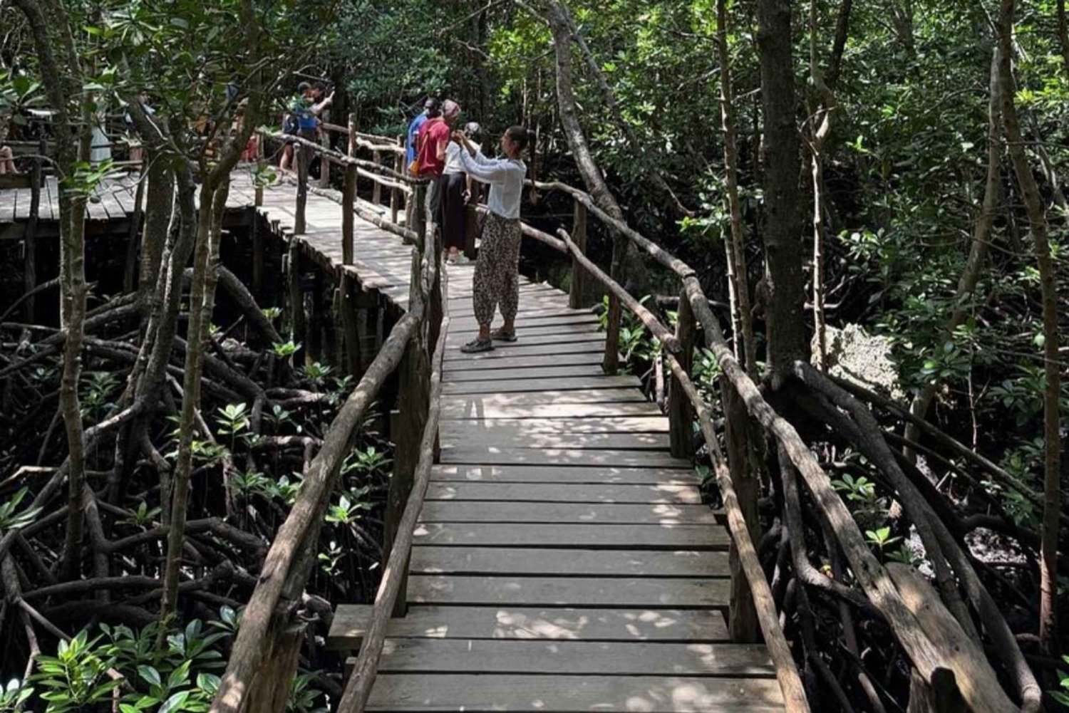 Zanzibar: Stone Town, Jozanin metsä ja merikilpikonnien suojelualue