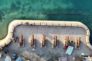 Zanzibar: Stone Town, Jozanin metsä ja merikilpikonnien suojelualue