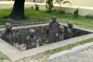 Zanzibar: Stone Town, Jozanin metsä ja merikilpikonnien suojelualue