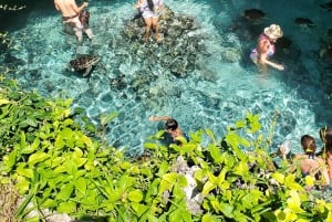 Zanzibar: Stone Town, Jozanin metsä ja merikilpikonnien suojelualue
