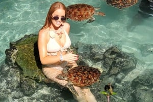 Zanzibar: Stone Town, Jozanin metsä ja merikilpikonnien suojelualue