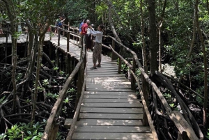 Zanzibar: Stone Town, Jozani-bos en zeeschildpaddenreservaat