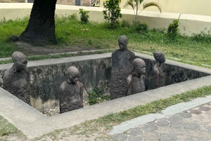 Zanzibar: Stone Town, Jozani-bos en zeeschildpaddenreservaat