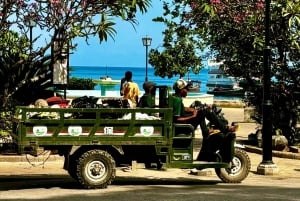 Zanzibar: Stone Town, Jozani-bos en zeeschildpaddenreservaat