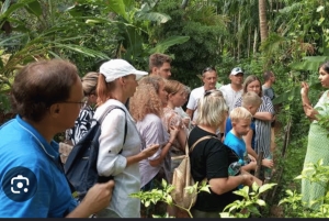 Zanzibar: Stone Town, Jozani-skogen och kryddodlingen
