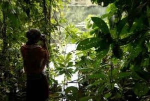 Zanzibar: Stone Town, Jozani-skogen og svømming med skilpadder