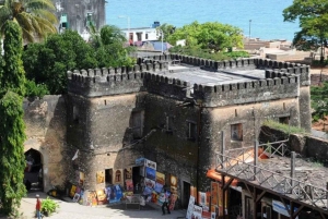 ZANZIBAR: Stone Town, Prison Island, and Jozani Forest Tour