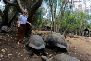 Zanzibar: Prison Island, Stone town & Spice farm with Lunch