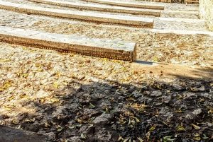 ZANZÍBAR: Ciudad de piedra, isla prisión y especias