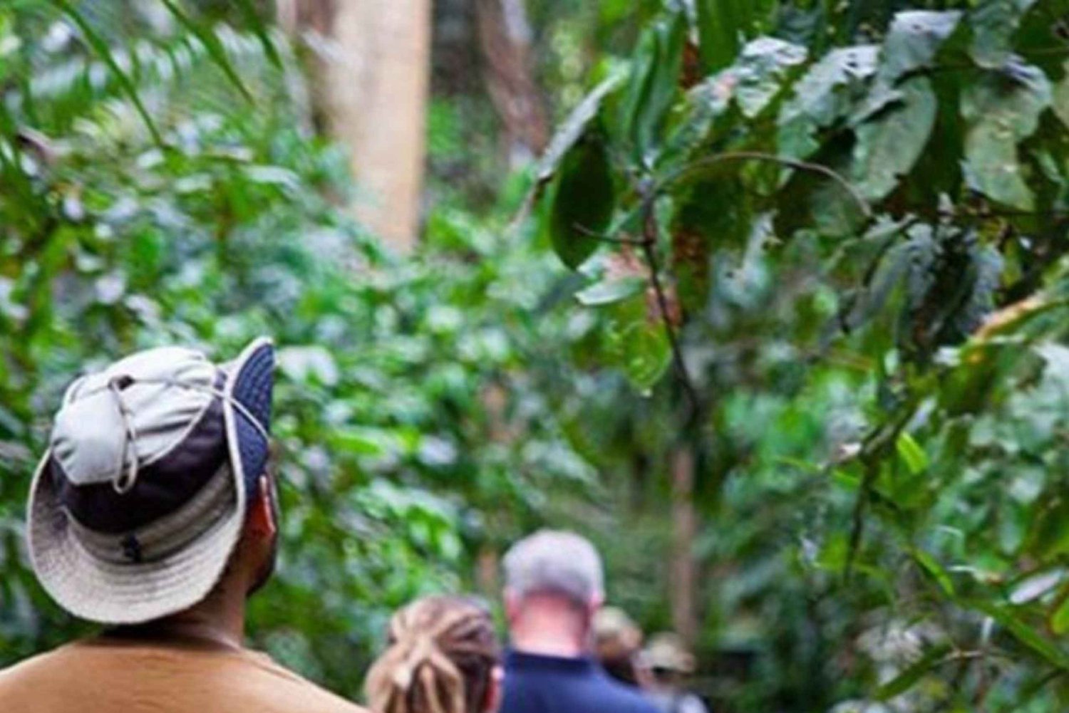 ZANZIBAR: Stone Town, Prison Island og Nakupenda Sandbank