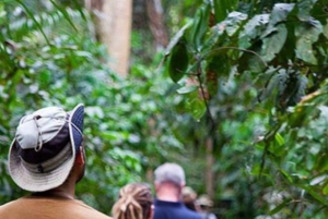 ザンジバル：ストーンタウン、プリズン・アイランド、ナクペンダ・サンドバンク