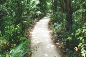 ザンジバル：ストーンタウン、プリズン・アイランド、ナクペンダ・サンドバンク