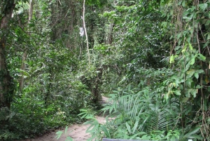 ザンジバル：ストーンタウン、プリズン・アイランド、ナクペンダ・サンドバンク