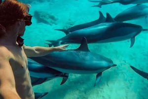 ザンジバル：ストーンタウン、プリズン・アイランド、ナクペンダ・サンドバンク