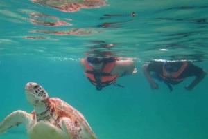 ザンジバル：ストーンタウン、プリズン・アイランド、ナクペンダ・サンドバンク