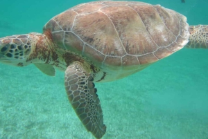 ザンジバル：ストーンタウン、プリズン・アイランド、ナクペンダ・サンドバンク