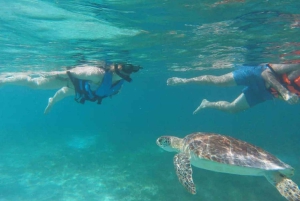 ザンジバル：ストーンタウン、プリズン・アイランド、ナクペンダ・サンドバンク