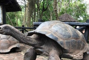 ザンジバル：ストーンタウン、プリズン・アイランド、ナクペンダ・サンドバンク