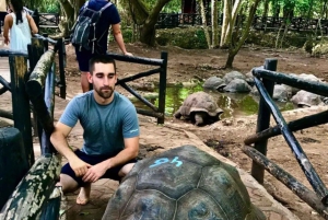 ザンジバル：ストーンタウン、プリズン・アイランド、ナクペンダ・サンドバンク