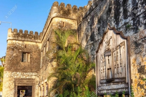 Zanzibar Stone Town, Prison Island e Nakupenda con pranzo